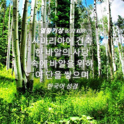 Picture 04 - 열왕기상 16:32 KOR - 사마리아에 건축한 바알의 사당 속에 - Bible Verse Picture