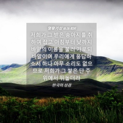 Picture 04 - 열왕기상 18:26 KOR - 저희가 그 받은 송아지를 취하여 - Bible Verse Picture