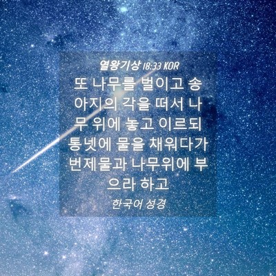 Picture 04 - 열왕기상 18:33 KOR - 또 나무를 벌이고 송아지의 각을 - Bible Verse Picture