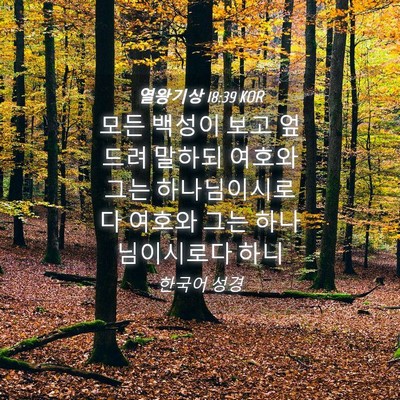 Picture 04 - 열왕기상 18:39 KOR - 모든 백성이 보고 엎드려 말하되 - Bible Verse Picture