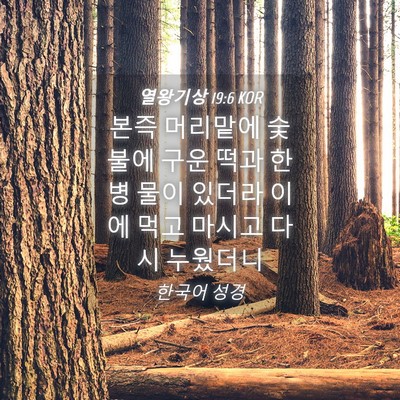 Picture 04 - 열왕기상 19:6 KOR - 본즉 머리맡에 숯불에 구운 떡과 한 - Bible Verse Picture