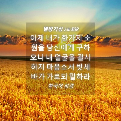 Picture 04 - 열왕기상 2:16 KOR - 이제 내가 한가지 소원을 당신에게 - Bible Verse Picture