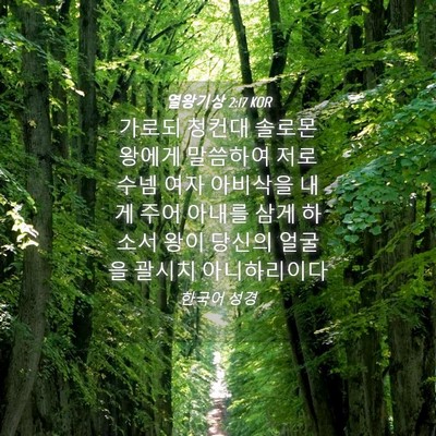 Picture 04 - 열왕기상 2:17 KOR - 가로되 청컨대 솔로몬 왕에게 - Bible Verse Picture