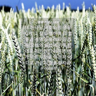 Picture 04 - 열왕기상 2:3 KOR - 네 하나님 여호와의 명을 지켜 그 - Bible Verse Picture