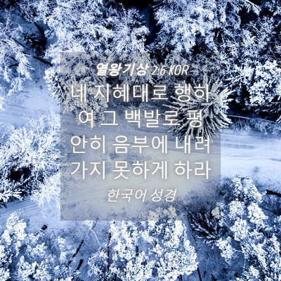 Picture 04 - 열왕기상 2:6 KOR - 네 지혜대로 행하여 그 백발로 - Bible Verse Picture