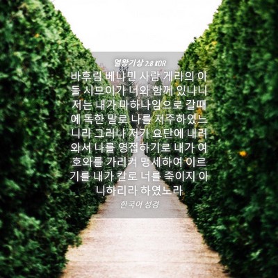 Picture 04 - 열왕기상 2:8 KOR - 바후림 베냐민 사람 게라의 아들 - Bible Verse Picture