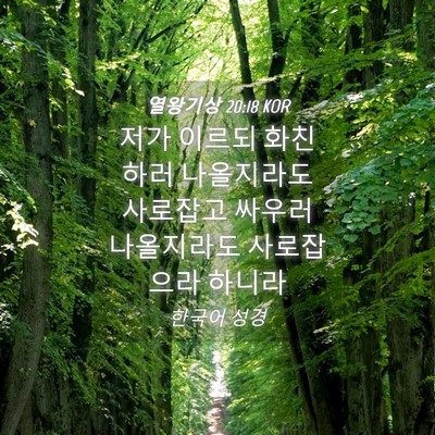 Picture 04 - 열왕기상 20:18 KOR - 저가 이르되 화친하러 나올지라도 - Bible Verse Picture