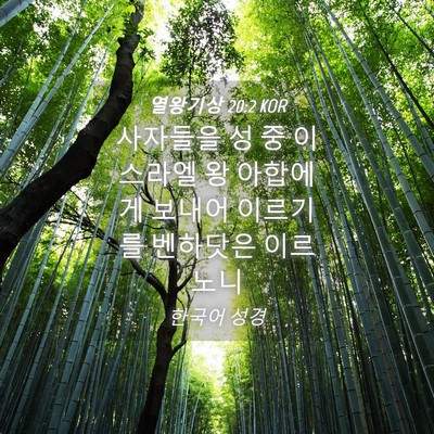 Picture 04 - 열왕기상 20:2 KOR - 사자들을 성 중 이스라엘 왕 - Bible Verse Picture