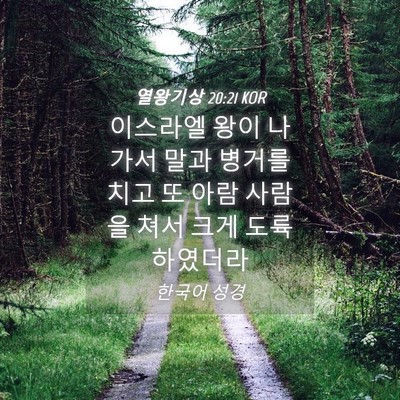Picture 04 - 열왕기상 20:21 KOR - 이스라엘 왕이 나가서 말과 병거를 - Bible Verse Picture