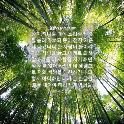 Picture 04 - 열왕기상 20:39 KOR - 왕이 지나갈 때에 소리질러 왕을 - Bible Verse Picture