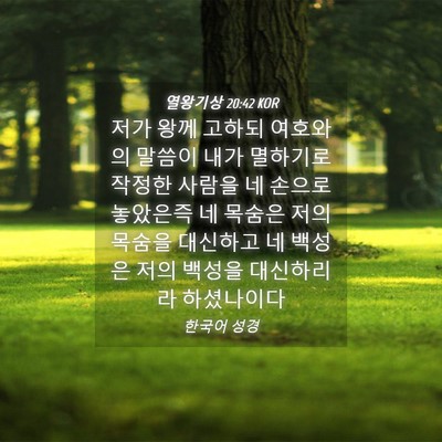 Picture 04 - 열왕기상 20:42 KOR - 저가 왕께 고하되 여호와의 말씀이 - Bible Verse Picture
