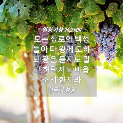 Picture 04 - 열왕기상 20:8 KOR - 모든 장로와 백성들이 다 왕께 - Bible Verse Picture