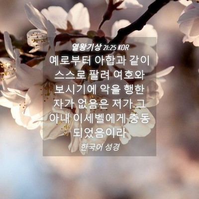 Picture 04 - 열왕기상 21:25 KOR - 예로부터 아합과 같이 스스로 팔려 - Bible Verse Picture