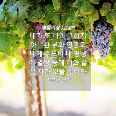 Picture 04 - 열왕기상 3:13 KOR - 내가 또 너의 구하지 아니한 부와 - Bible Verse Picture