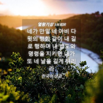 Picture 04 - 열왕기상 3:14 KOR - 네가 만일 네 아비 다윗의 행함 같이 - Bible Verse Picture