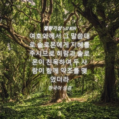 Picture 04 - 열왕기상 5:12 KOR - 여호와께서 그 말씀대로 솔로몬에게 - Bible Verse Picture