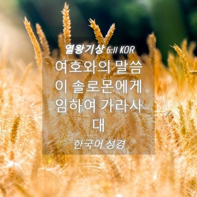 Picture 04 - 열왕기상 6:11 KOR - 여호와의 말씀이 솔로몬에게 임하여 - Bible Verse Picture
