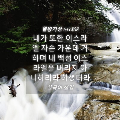 Picture 04 - 열왕기상 6:13 KOR - 내가 또한 이스라엘 자손 가운데 - Bible Verse Picture