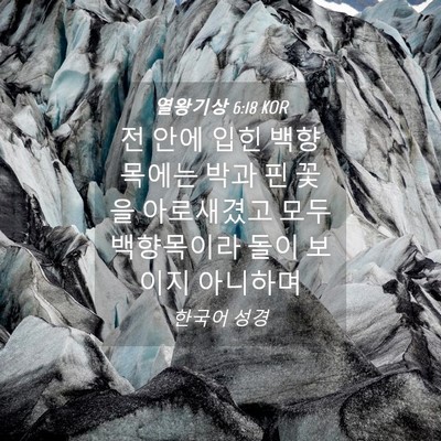 Picture 04 - 열왕기상 6:18 KOR - 전 안에 입힌 백향목에는 박과 핀 - Bible Verse Picture