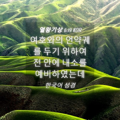 Picture 04 - 열왕기상 6:19 KOR - 여호와의 언약궤를 두기 위하여 전 - Bible Verse Picture
