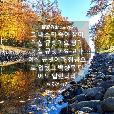 Picture 04 - 열왕기상 6:20 KOR - 그 내소의 속이 장이 이십 규빗이요 - Bible Verse Picture