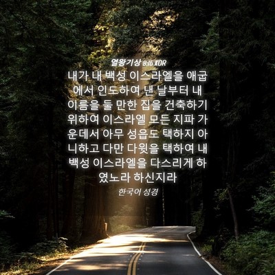 Picture 04 - 열왕기상 8:16 KOR - 내가 내 백성 이스라엘을 애굽에서 - Bible Verse Picture