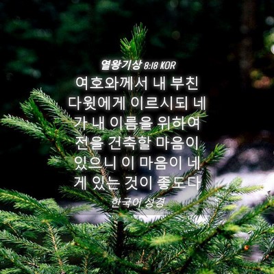 Picture 04 - 열왕기상 8:18 KOR - 여호와께서 내 부친 다윗에게 - Bible Verse Picture