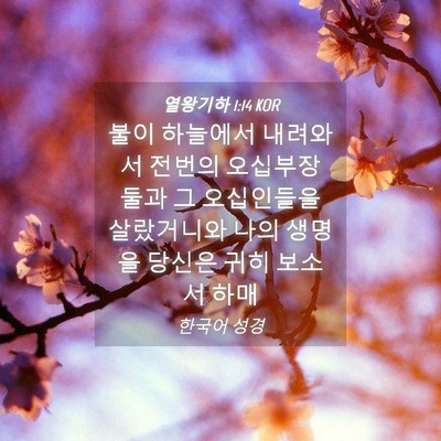 Picture 04 - 열왕기하 1:14 KOR - 불이 하늘에서 내려와서 전번의 - Bible Verse Picture