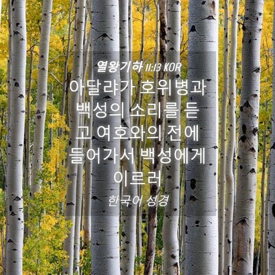 Picture 04 - 열왕기하 11:13 KOR - 아달랴가 호위병과 백성의 소리를 - Bible Verse Picture
