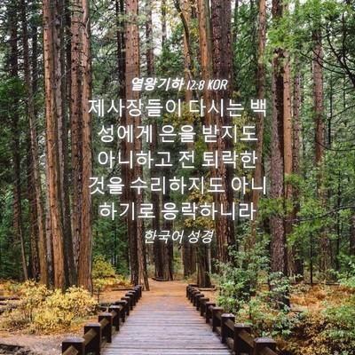 Picture 04 - 열왕기하 12:8 KOR - 제사장들이 다시는 백성에게 은을 - Bible Verse Picture