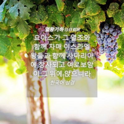 Picture 04 - 열왕기하 13:13 KOR - 요아스가 그 열조와 함께 자매 - Bible Verse Picture