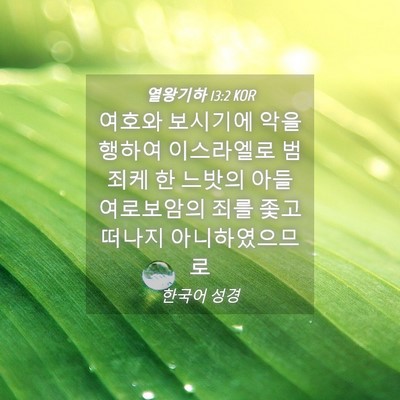 Picture 04 - 열왕기하 13:2 KOR - 여호와 보시기에 악을 행하여 - Bible Verse Picture