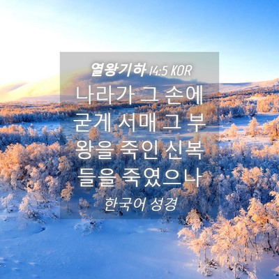 Picture 04 - 열왕기하 14:5 KOR - 나라가 그 손에 굳게 서매 그 부왕을 - Bible Verse Picture