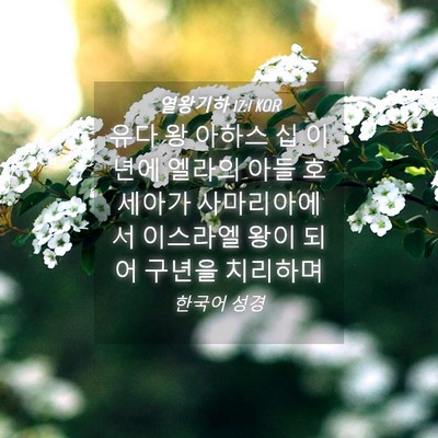 Picture 04 - 열왕기하 17:1 KOR - 유다 왕 아하스 십 이년에 엘라의 - Bible Verse Picture