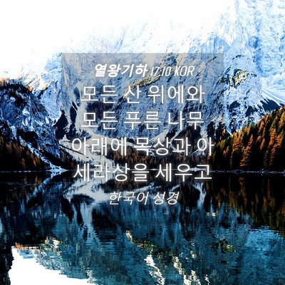 Picture 04 - 열왕기하 17:10 KOR - 모든 산 위에와 모든 푸른 나무 - Bible Verse Picture