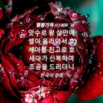 Picture 04 - 열왕기하 17:3 KOR - 앗수르 왕 살만에셀이 올라와서 - Bible Verse Picture