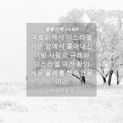 Picture 04 - 열왕기하 17:8 KOR - 여호와께서 이스라엘 자손 앞에서 - Bible Verse Picture