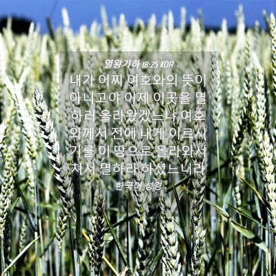 Picture 04 - 열왕기하 18:25 KOR - 내가 어찌 여호와의 뜻이 아니고야 - Bible Verse Picture