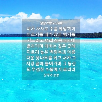Picture 04 - 열왕기하 19:23 KOR - 네가 사자로 주를 훼방하여 이르기를 - Bible Verse Picture