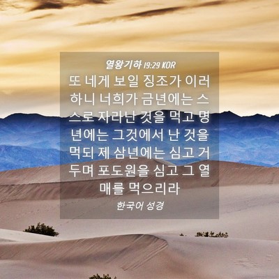 Picture 04 - 열왕기하 19:29 KOR - 또 네게 보일 징조가 이러하니 - Bible Verse Picture