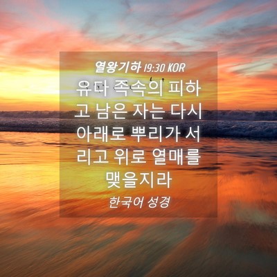 Picture 04 - 열왕기하 19:30 KOR - 유다 족속의 피하고 남은 자는 다시 - Bible Verse Picture
