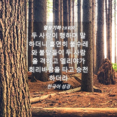 Picture 04 - 열왕기하 2:11 KOR - 두 사람이 행하며 말하더니 홀연히 - Bible Verse Picture