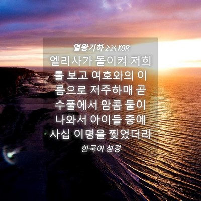Picture 04 - 열왕기하 2:24 KOR - 엘리사가 돌이켜 저희를 보고 - Bible Verse Picture