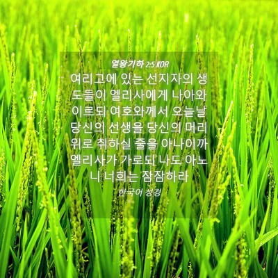 Picture 04 - 열왕기하 2:5 KOR - 여리고에 있는 선지자의 생도들이 - Bible Verse Picture