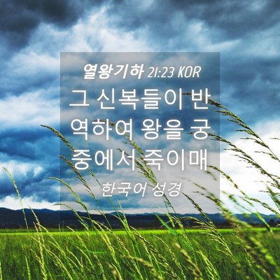 Picture 04 - 열왕기하 21:23 KOR - 그 신복들이 반역하여 왕을 궁중에서 - Bible Verse Picture