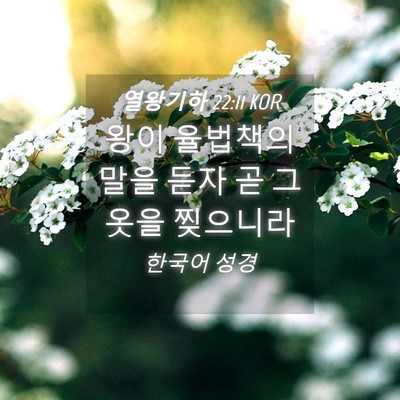 Picture 04 - 열왕기하 22:11 KOR - 왕이 율법책의 말을 듣자 곧 그 옷을 - Bible Verse Picture