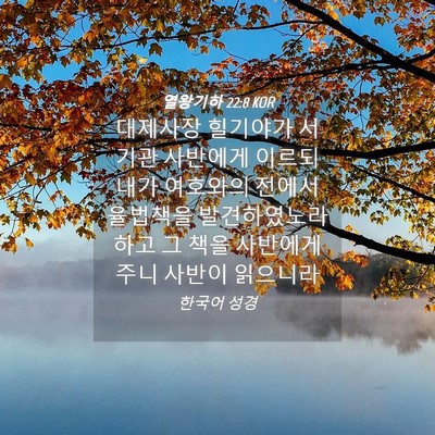 Picture 04 - 열왕기하 22:8 KOR - 대제사장 힐기야가 서기관 사반에게 - Bible Verse Picture