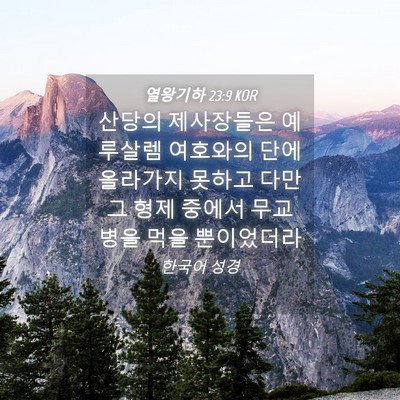 Picture 04 - 열왕기하 23:9 KOR - 산당의 제사장들은 예루살렘 - Bible Verse Picture