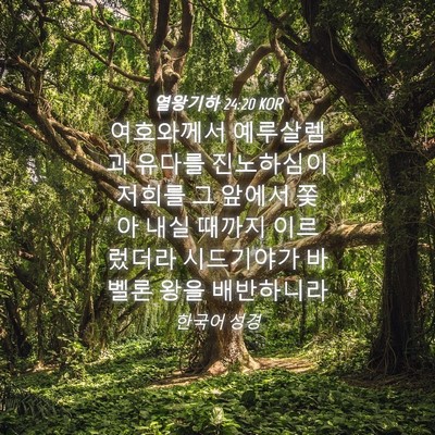 Picture 04 - 열왕기하 24:20 KOR - 여호와께서 예루살렘과 유다를 - Bible Verse Picture