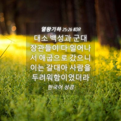 Picture 04 - 열왕기하 25:26 KOR - 대소 백성과 군대 장관들이 다 - Bible Verse Picture